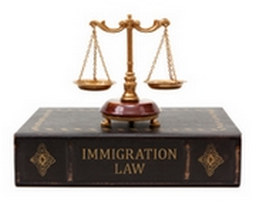 256x202-immigration-law